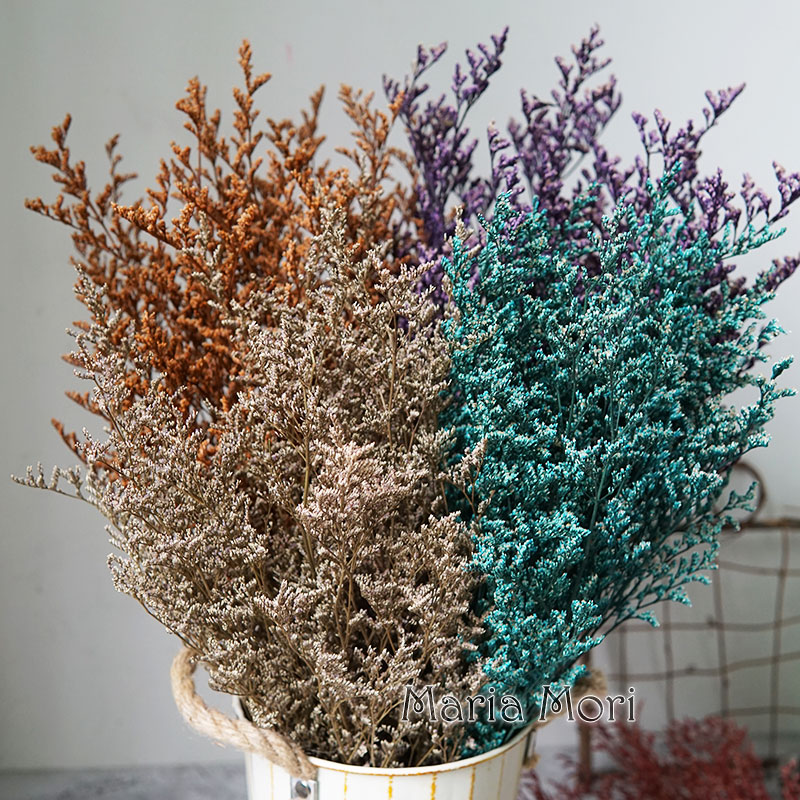 Event Supplies - 50g/Flor de Limonium Preservada para o