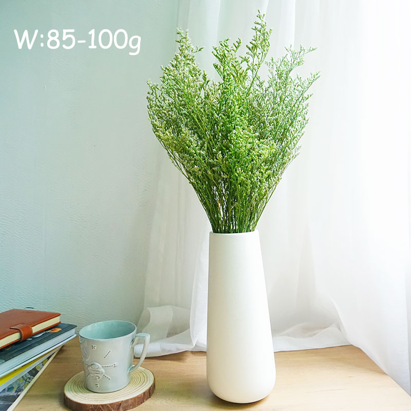 50g/Flor de Limonium Preservad - Event Supplies avaliação e preço