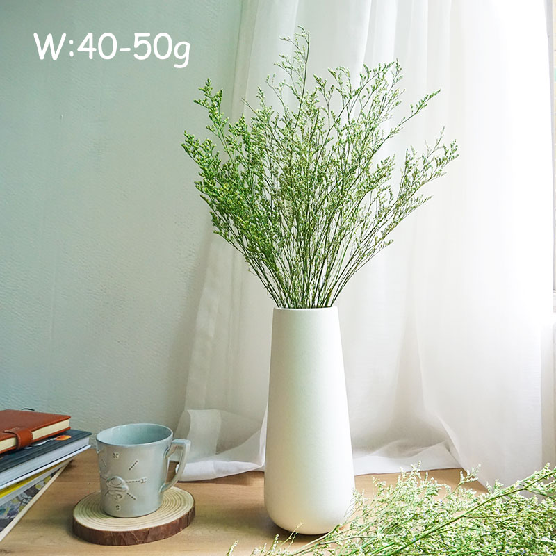 50g/Flor de Limonium Preservad - Event Supplies avaliação e preço