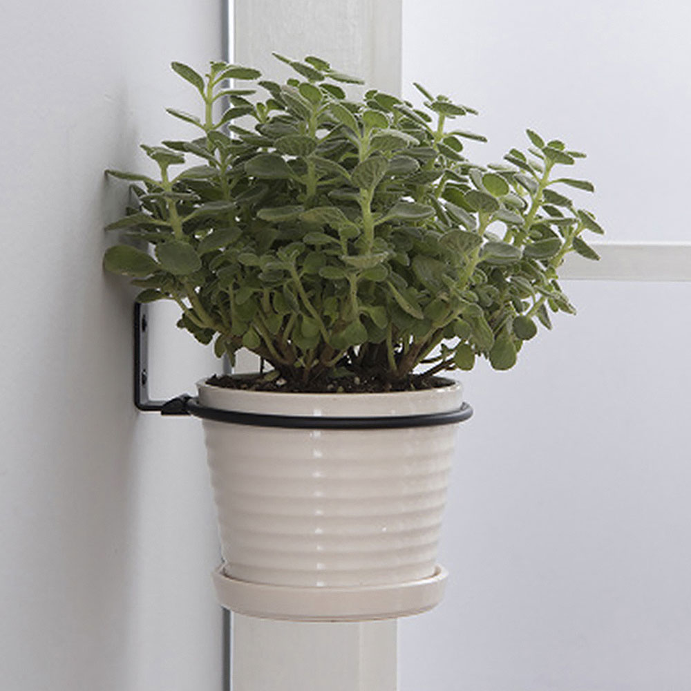 Bandejas para vasos de flores, - Flower Wall Panel avaliação e preço